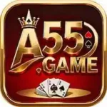 A55 Game