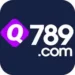 Q 789 Game